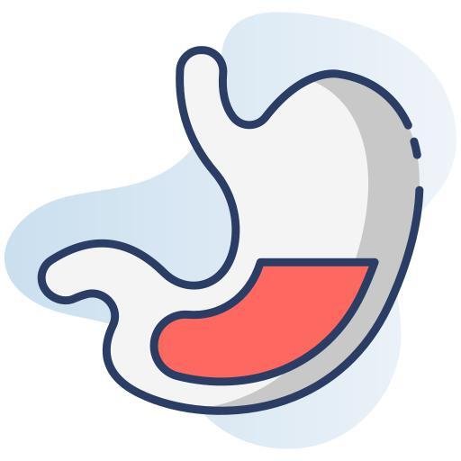 Gastroenterology Icon